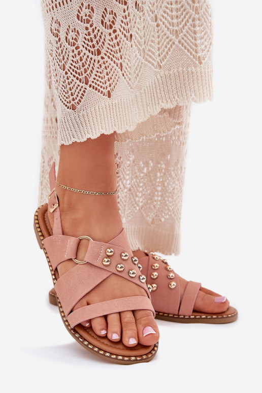 Sieviešu basenes ar platiem papēžiem Ze Zelta krāsasmi Kniedes Rozā krāsas Zanira