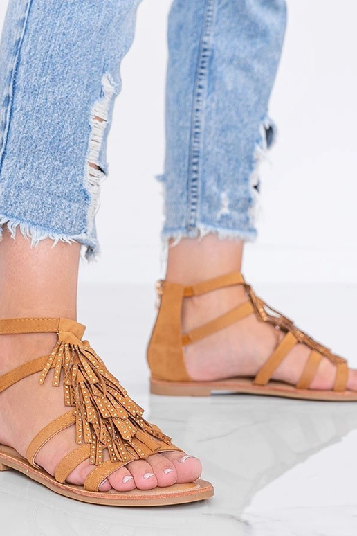 Gaiši brūni sūnuļi ar pušķiem, „Noronha"