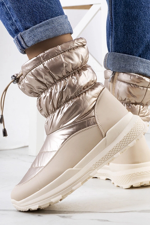 Zeltaini ziemas apavi ar...