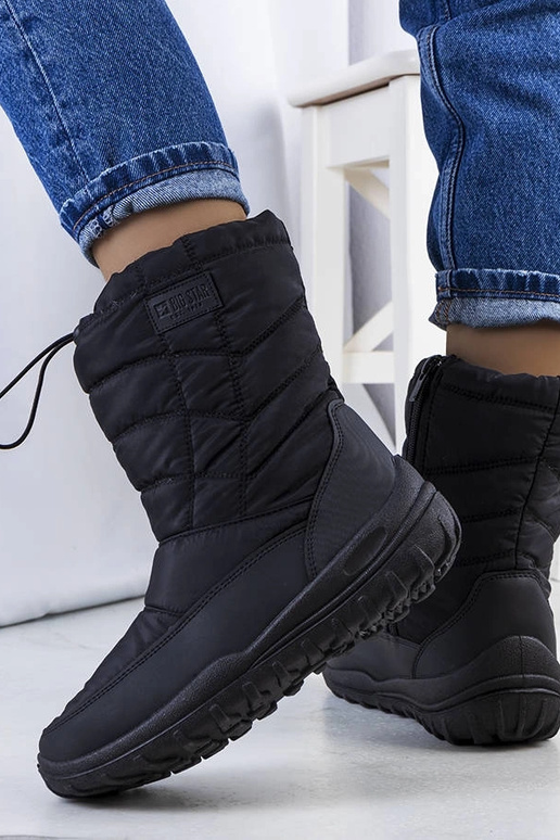 Melni sniega zābaki KK274599