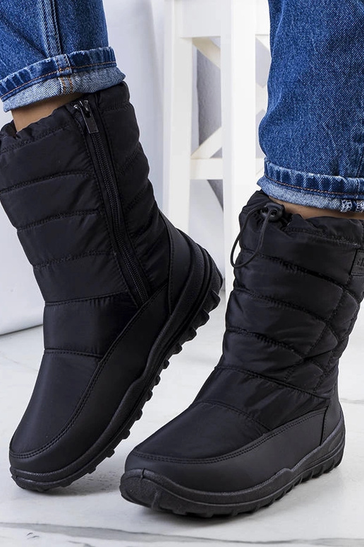 Melni sniega zābaki KK274599