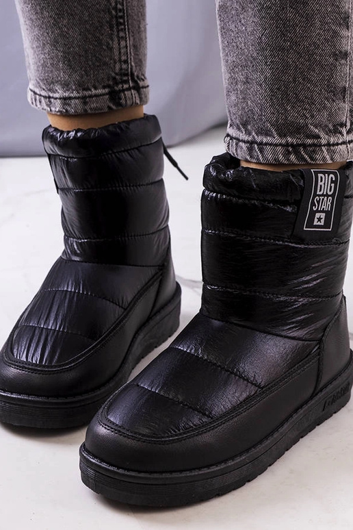 Melni sniega zābaki II274120