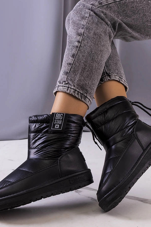 Melni sniega zābaki II274120