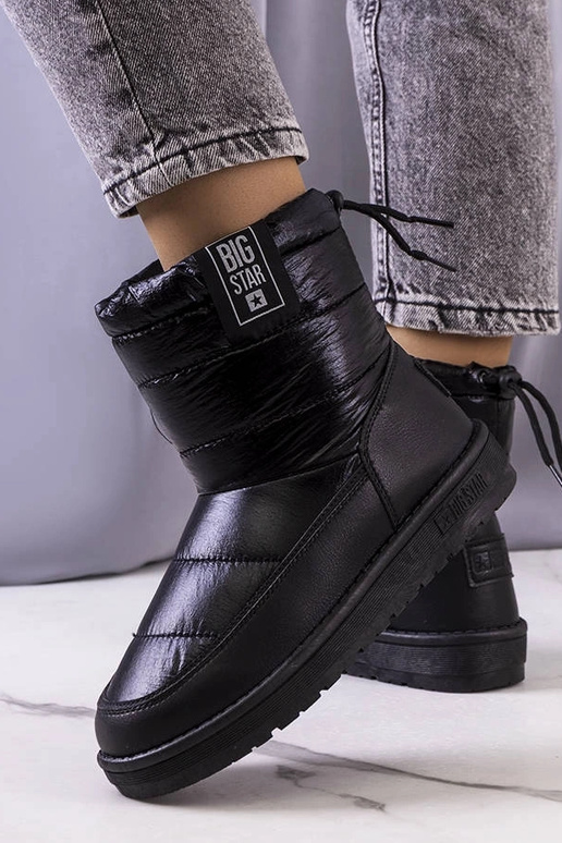 Melni sniega zābaki II274120