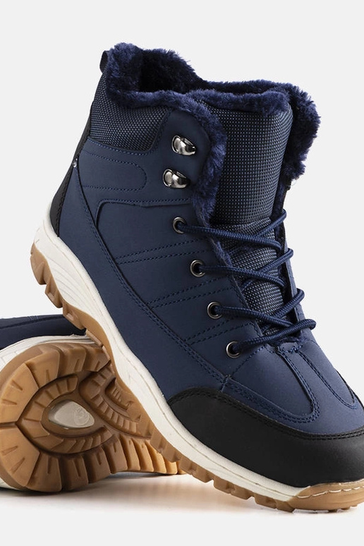 Tumši zili izolēti Violette zābaki