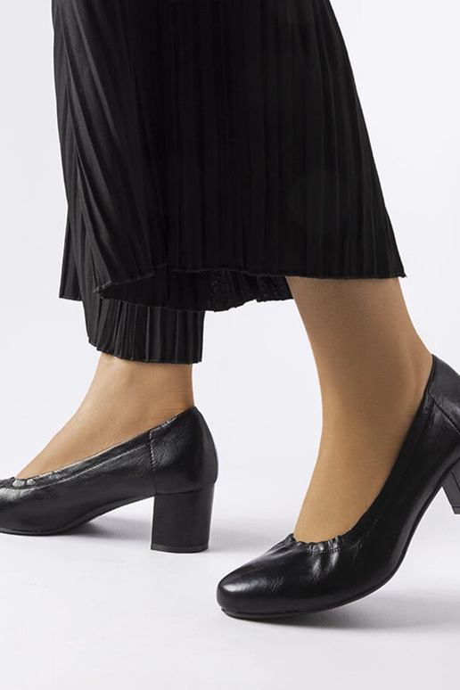 Black Ploufe sūkņi ar bloka papēdi