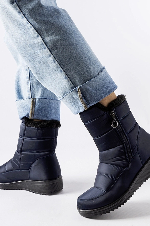 Tumši zili sniega zābaki ar zemu ķīļa...