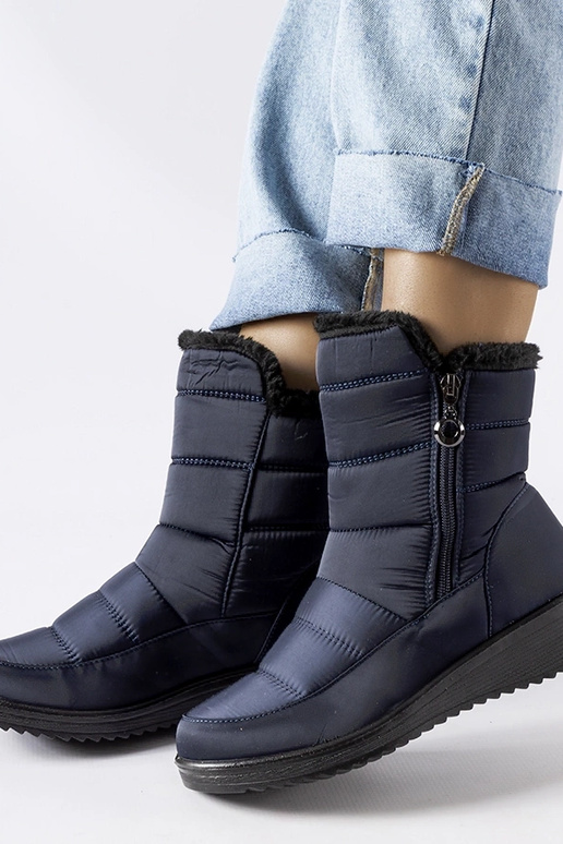 Tumši zili sniega zābaki ar zemu ķīļa...