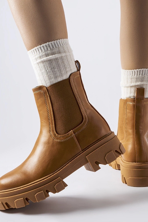 Brūni iebāžamie masīvie ziemas...