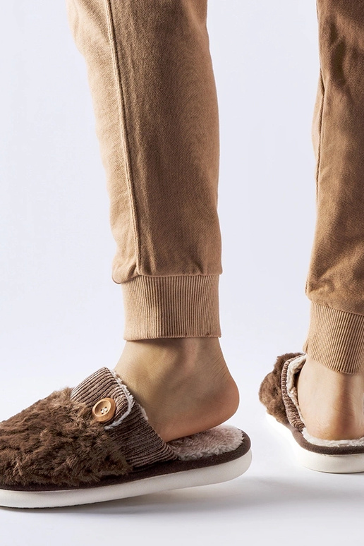 Brūnas izolētas Lakeland čības Brūnas izolētas Lakeland čības