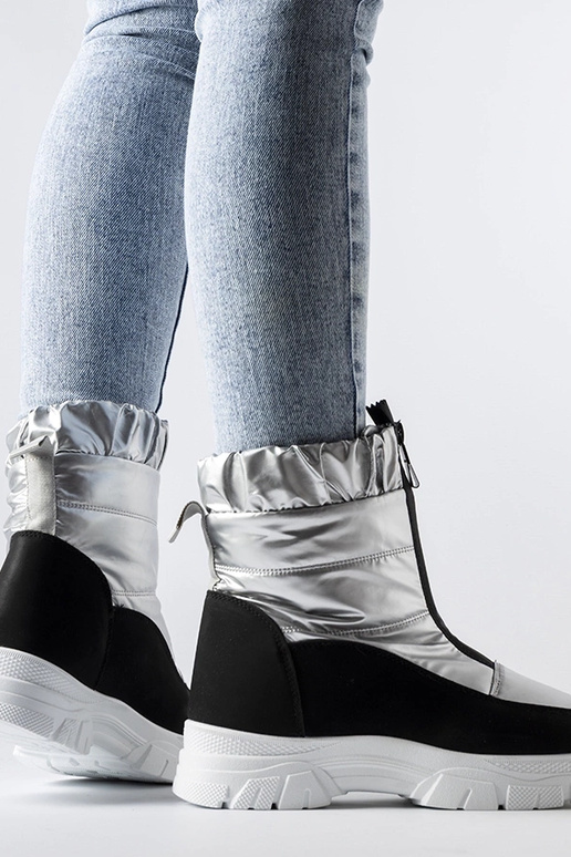 Controni sudraba un melni izolēti...