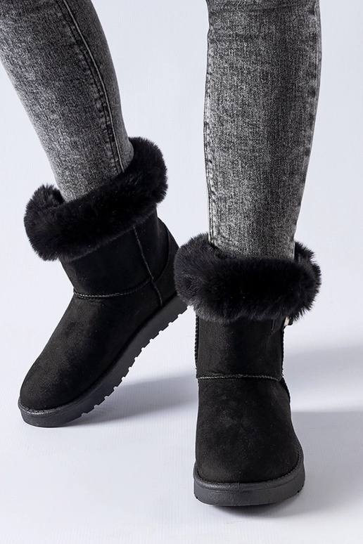 Borgorato sniega zābaki ar melnu...