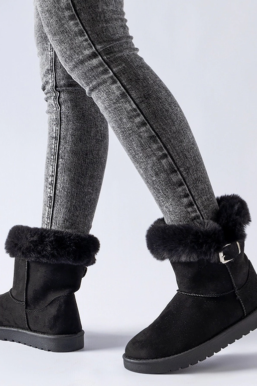 Borgorato sniega zābaki ar melnu...