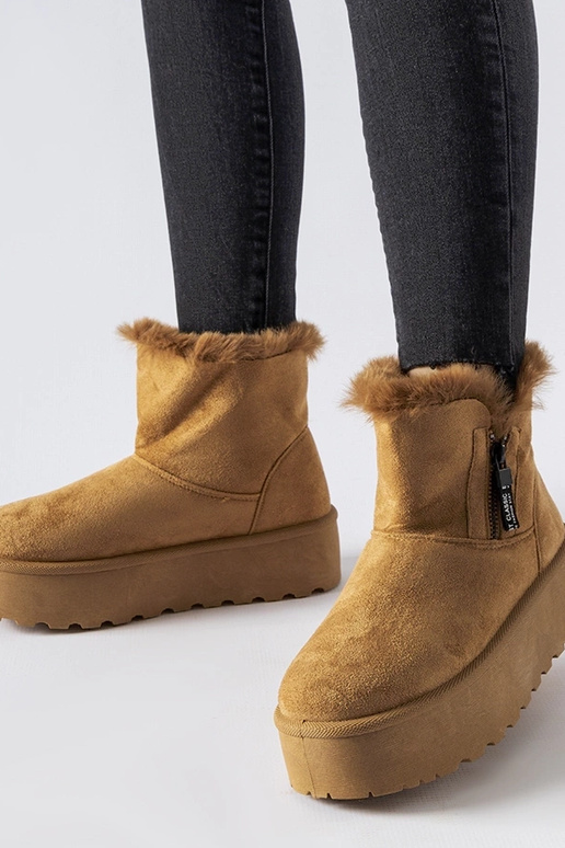 Brūnas sniegavītes uz platformas Points