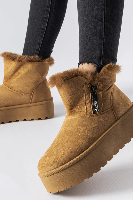 Brūnas sniegavītes uz platformas Points