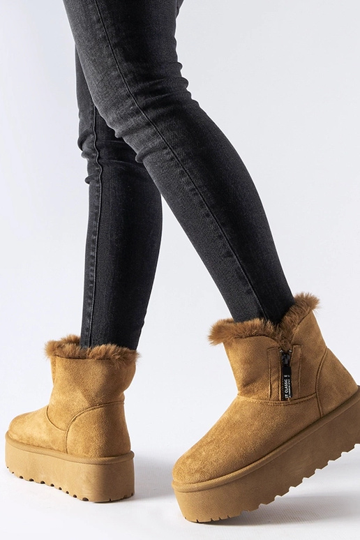 Brūnas sniegavītes uz platformas Points