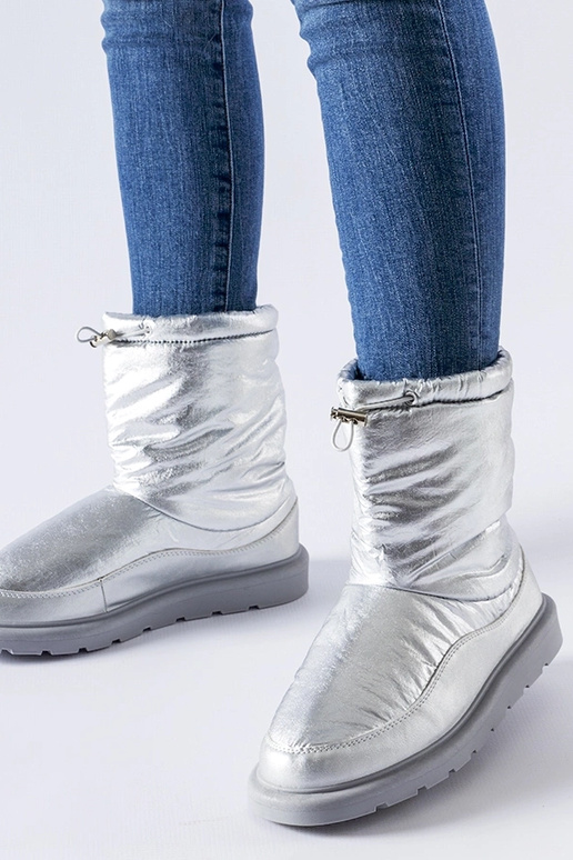 Sudraba izolēti Whitetail sniega zābaki