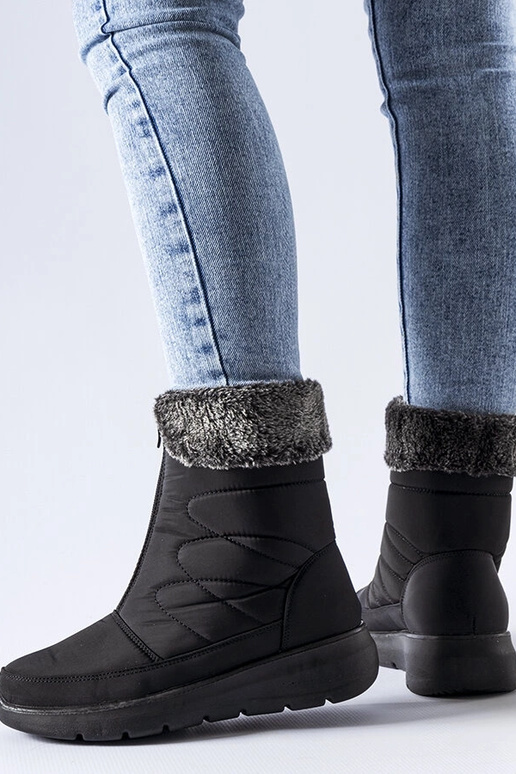 Melni zemie sniega zābaki Brownton