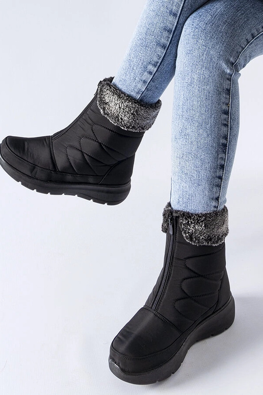 Melni zemie sniega zābaki Brownton