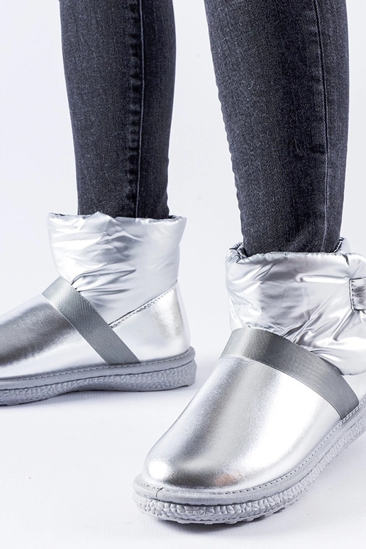 Delaune sudrabaini spīdīgi īsi sniega...