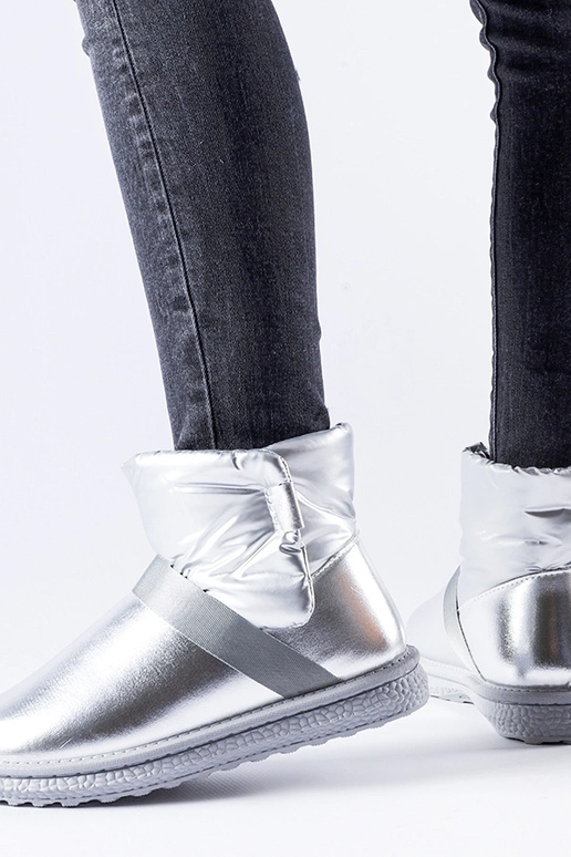 Delaune sudrabaini spīdīgi īsi sniega...