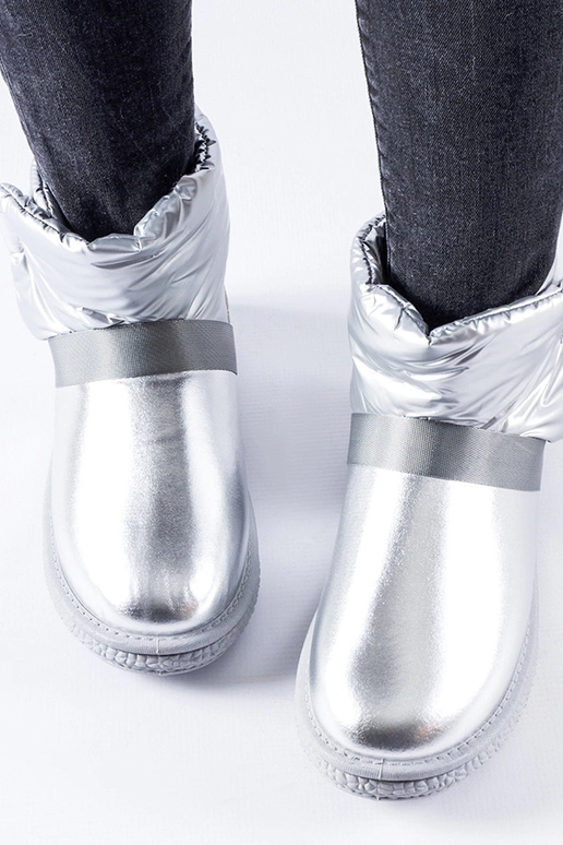 Delaune sudrabaini spīdīgi īsi sniega...