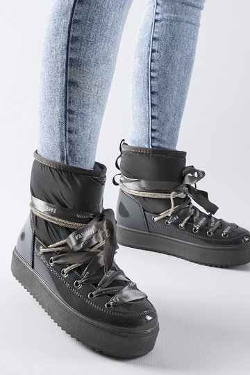 Pelēkās lakotās snieggaidas...