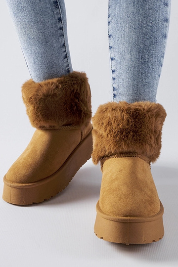 Brūnās snieggaidas ar... 2