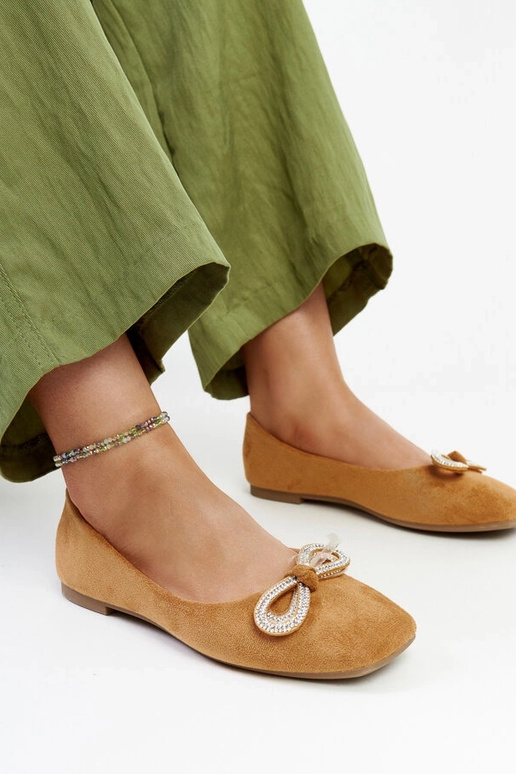 Brūni baleta plakti ar Gaillou banti