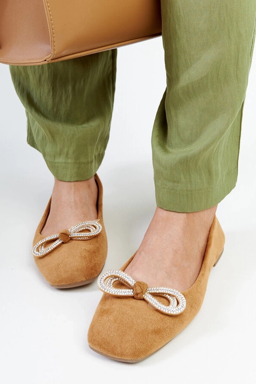 Brūni baleta plakti ar Gaillou banti