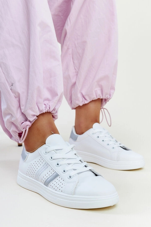 Berdīnes baltas un sudraba krāsas eko...