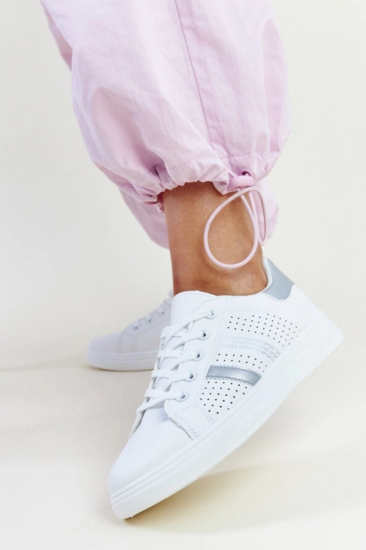 Berdīnes baltas un sudraba krāsas eko...