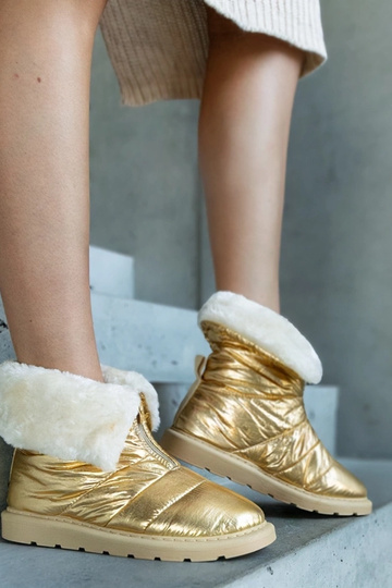 Edidda zelta izolēti sniega... 2