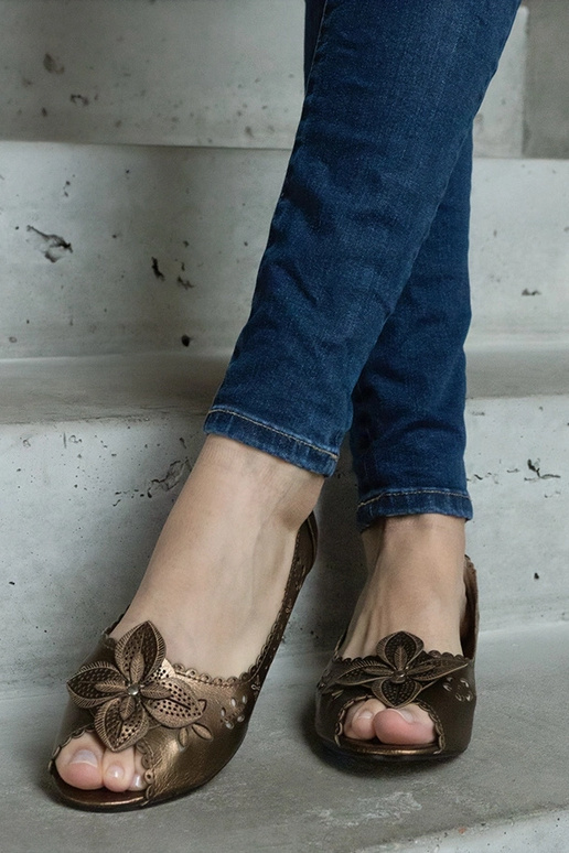 Brūnas augu raksta balerīnas ar... Brūnas augu raksta balerīnas ar...