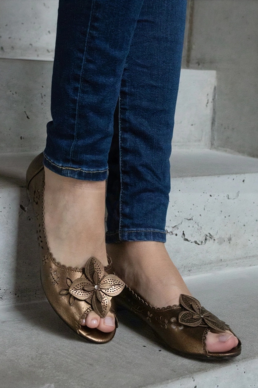 Brūnas augu raksta balerīnas ar... Brūnas augu raksta balerīnas ar...