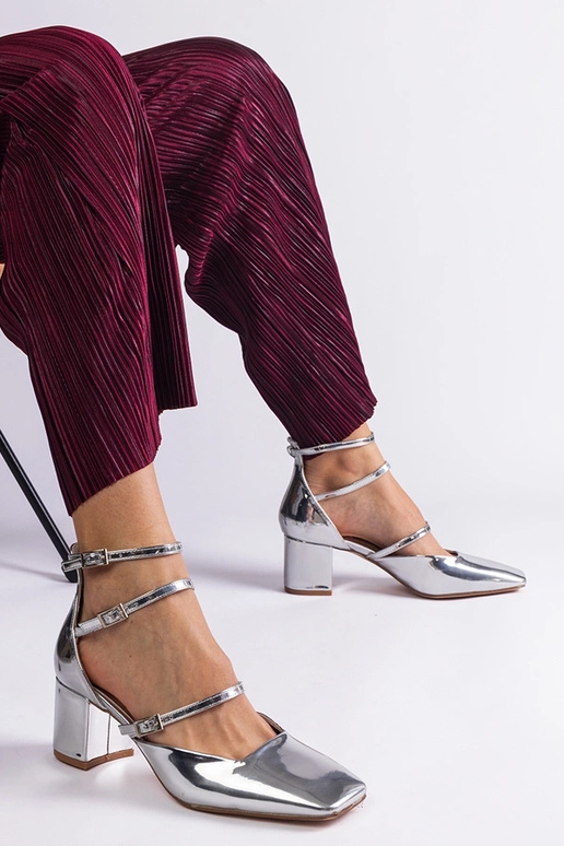 Sudraba patentēti sūkņi ar Kamola...