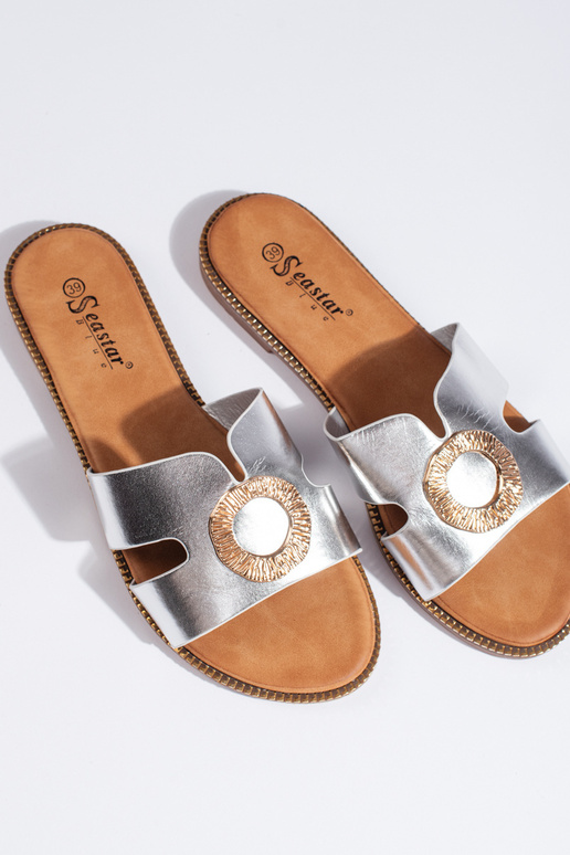 Sudraba krāsas  čības