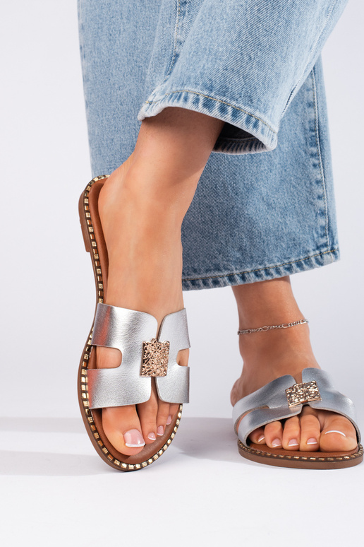 Sudraba krāsas  čības