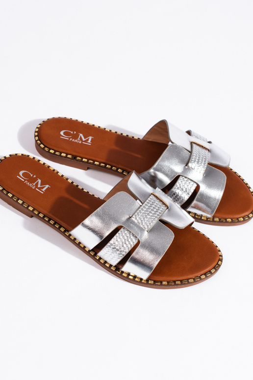 Sudraba krāsas  čības