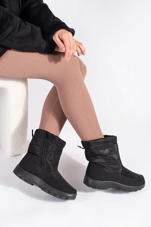 melnas krāsas ērti izolēts śniegoIne...