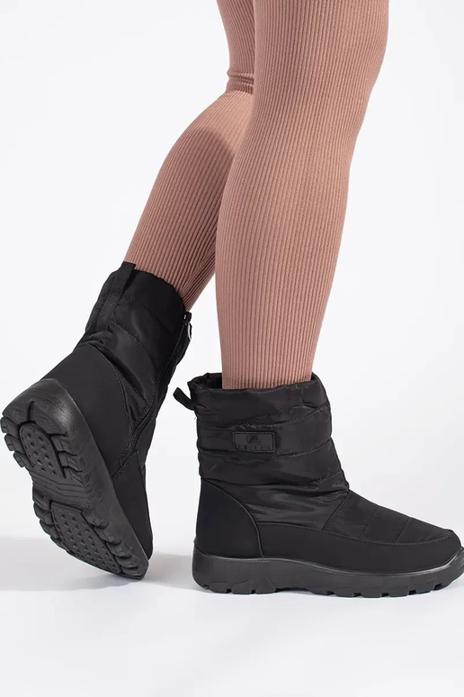 melnas krāsas ērti izolēts śniegoIne...