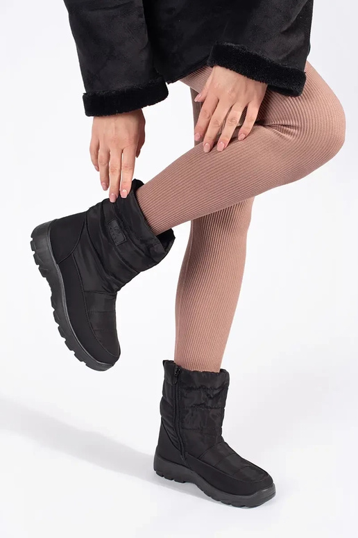 melnas krāsas ērti izolēts śniegoIne...