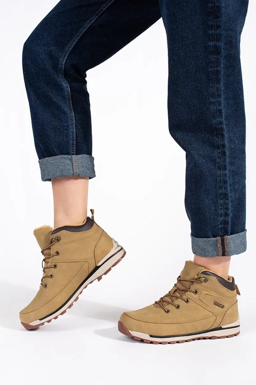 brūnas krāsas izolēts Trekinga apavi brūnas krāsas izolēts Trekinga apavi