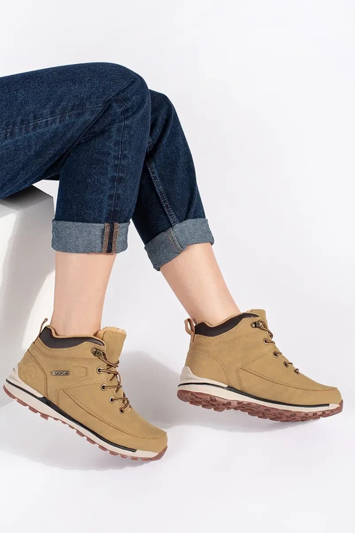 brūnas krāsas izolēts Trekinga apavi brūnas krāsas izolēts Trekinga apavi