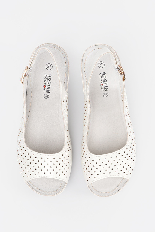 Baltas krāsas caurspīdīgie sānali