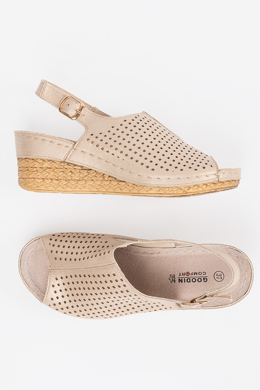 Zelta iešļūcenes ar papēžiem