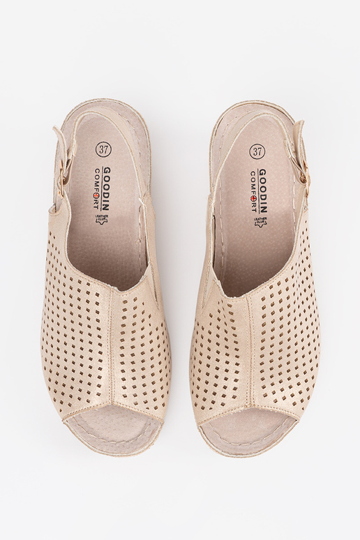 Zelta iešļūcenes ar papēžiem