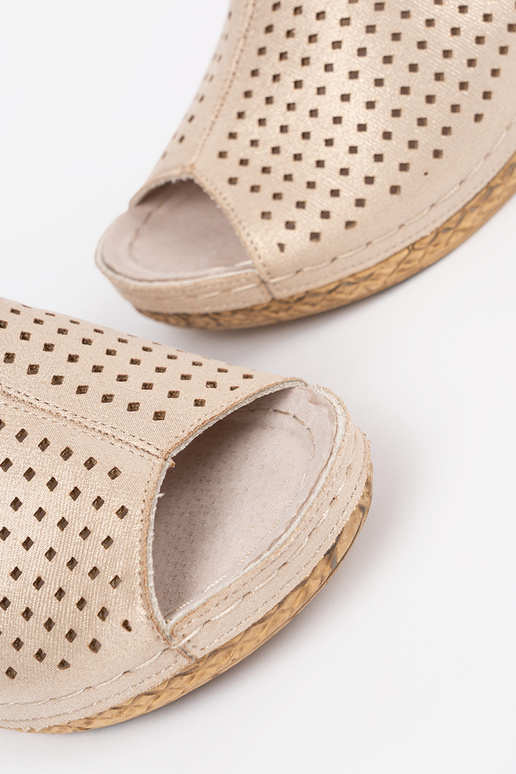 Zelta iešļūcenes ar papēžiem