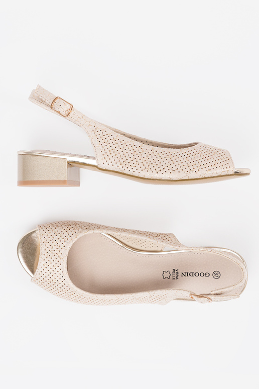 Dramblio kaula krāsas ažūrinātās...