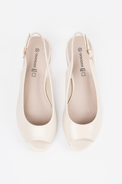 Dramblio kaula krāsas eleganti...